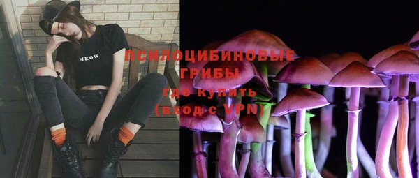 ALPHA PVP Новозыбков