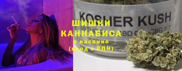 молекула духа Осташков