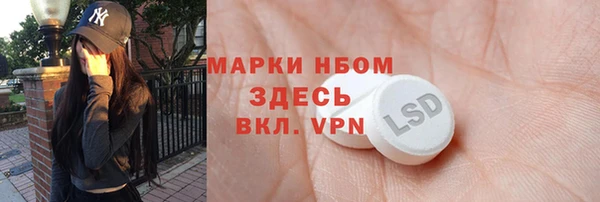 ALPHA PVP Новозыбков