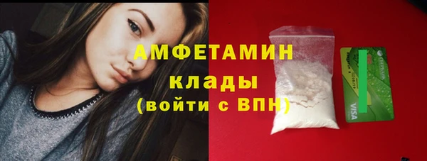 молекула духа Осташков