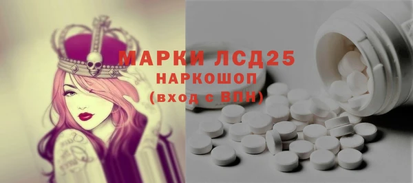 молекула духа Осташков