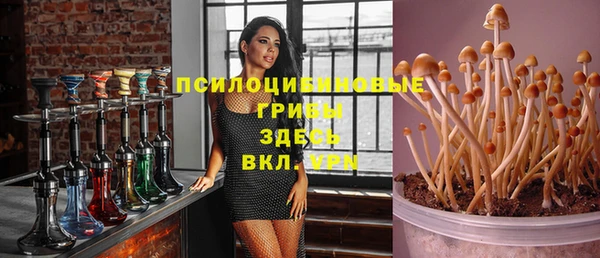 мескалин Новодвинск