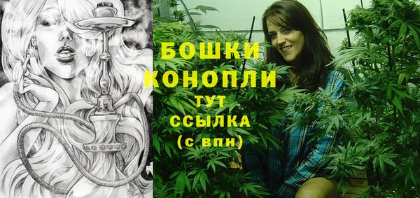 мескалин Новодвинск