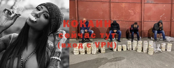 мескалин Новодвинск
