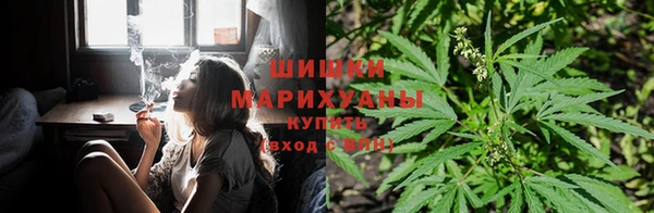 МДПВ Остров