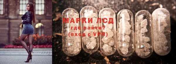 молекула духа Осташков