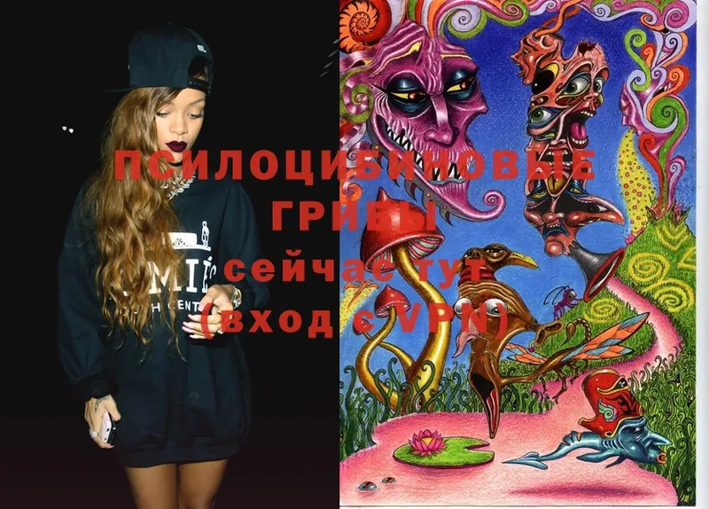 Галлюциногенные грибы Magic Shrooms  kraken зеркало  Агрыз 