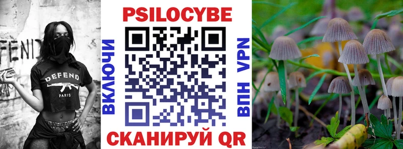 купить наркоту  Агрыз  OMG зеркало  Псилоцибиновые грибы Cubensis 